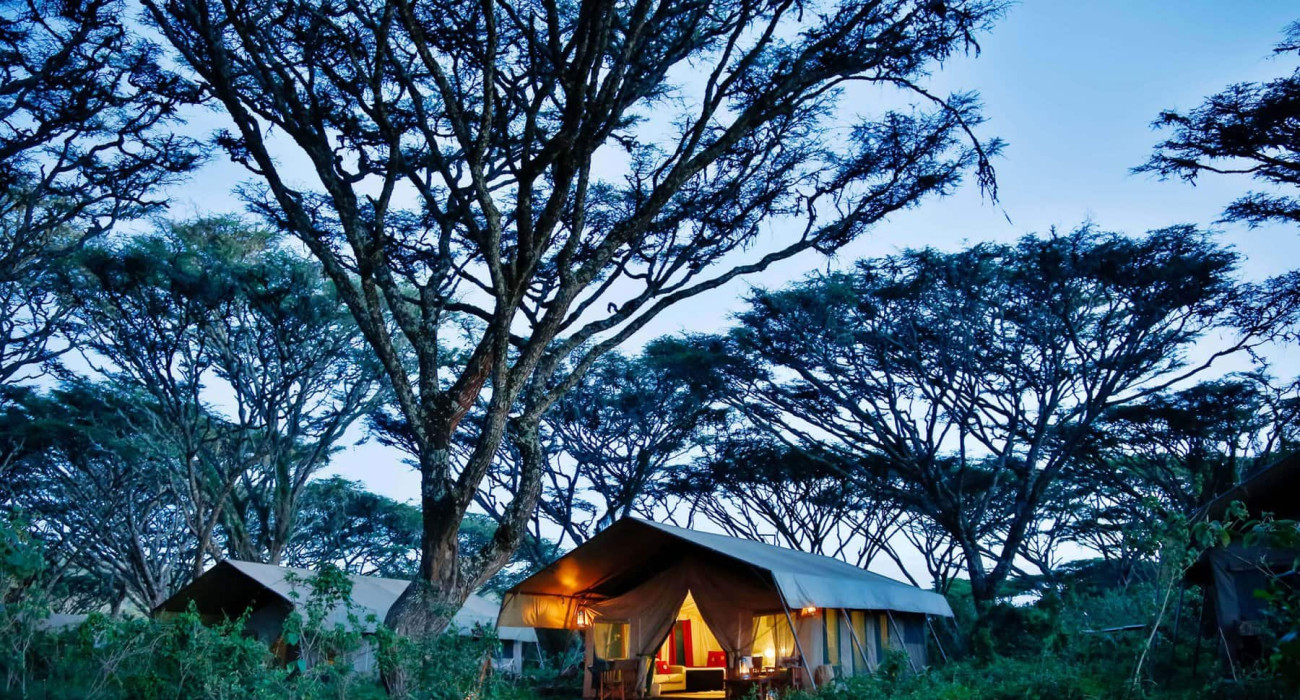 Lemala Mara Camp