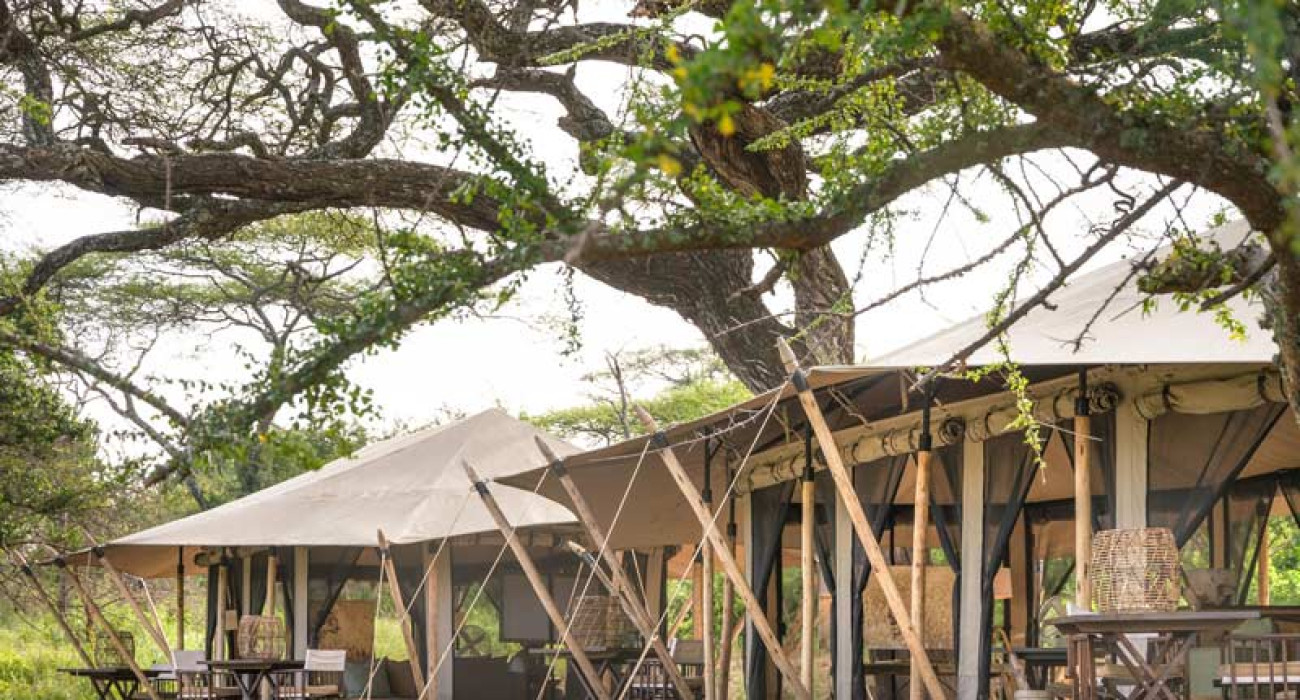 Mila Tented Camp