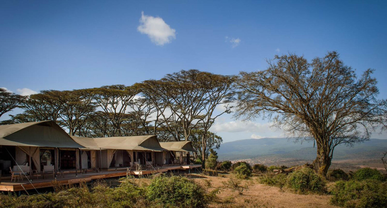 Entamanu Ngorongoro