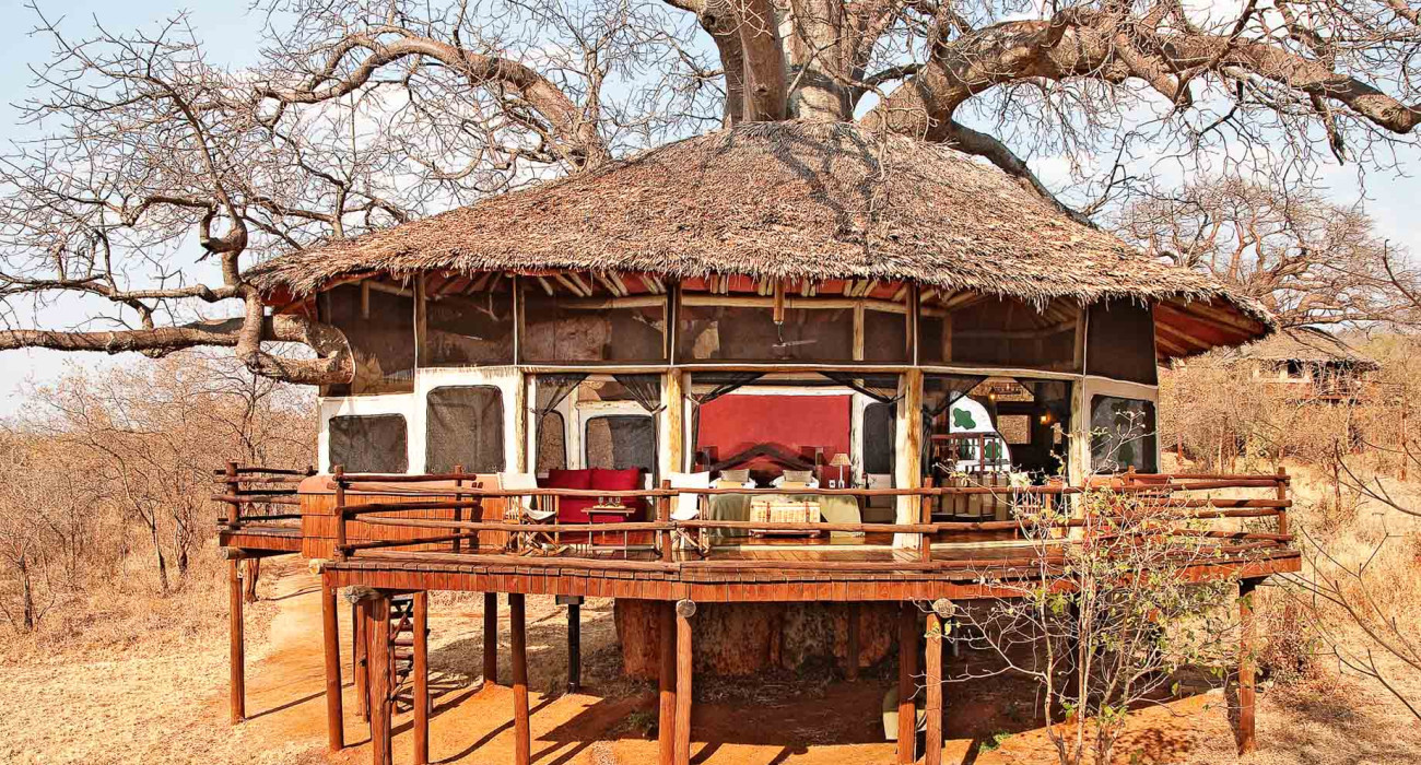 Tarangire Treetops Lodge