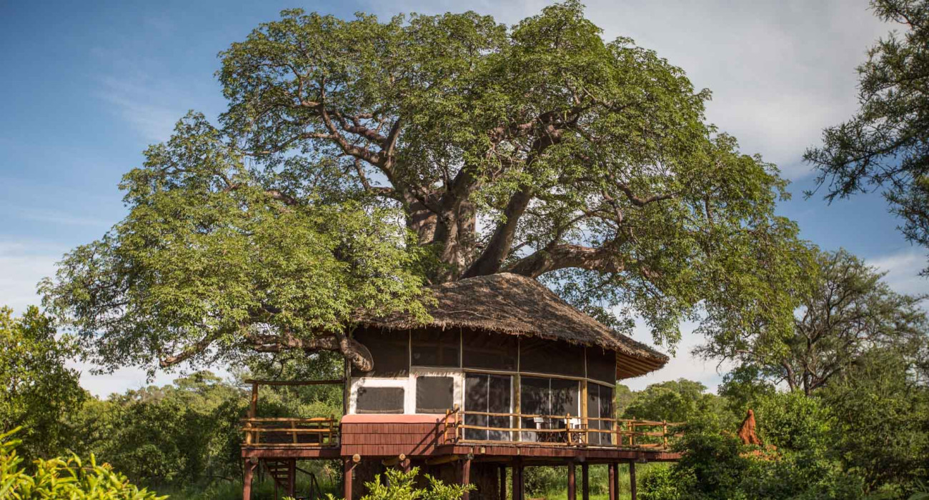 Tarangire Treetops Lodge