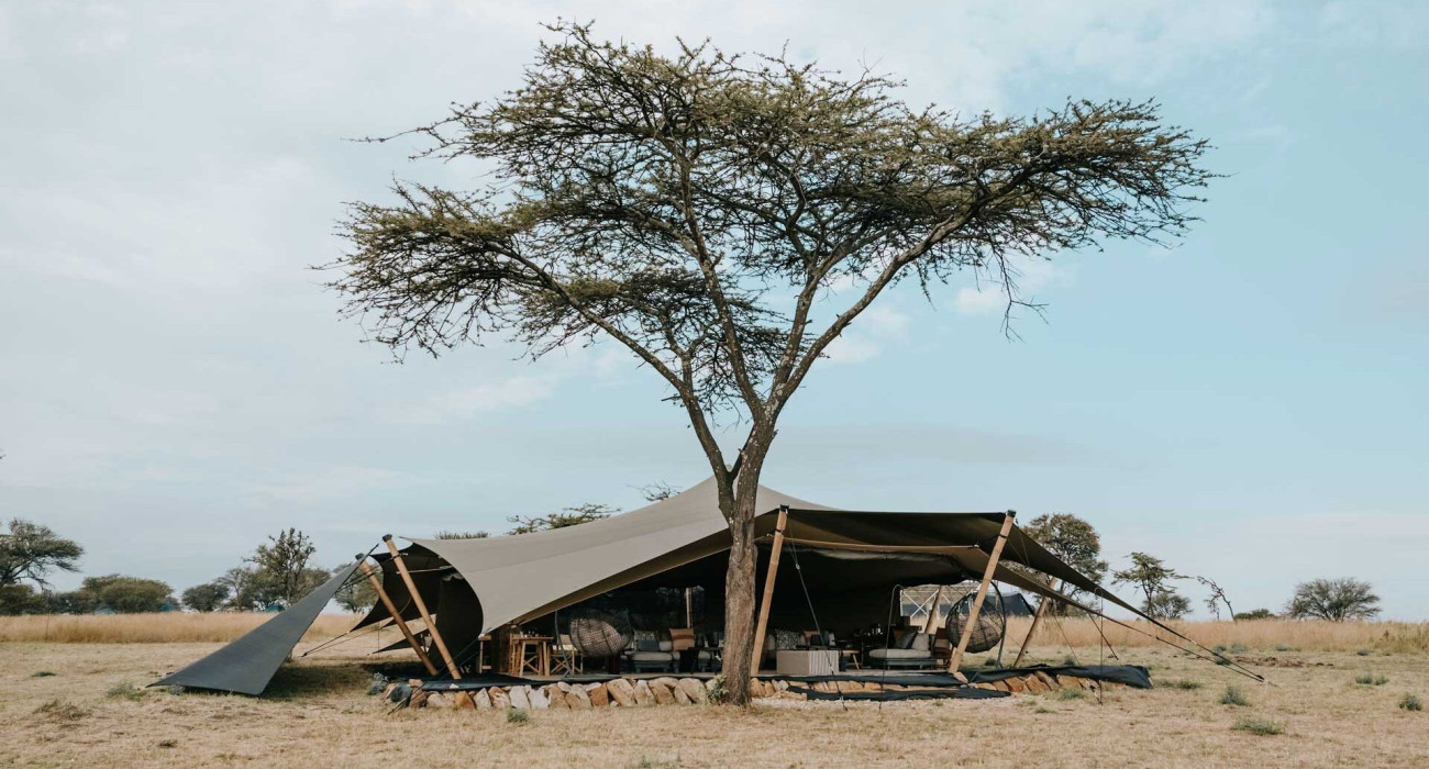 Wilderness Usawa Serengeti
