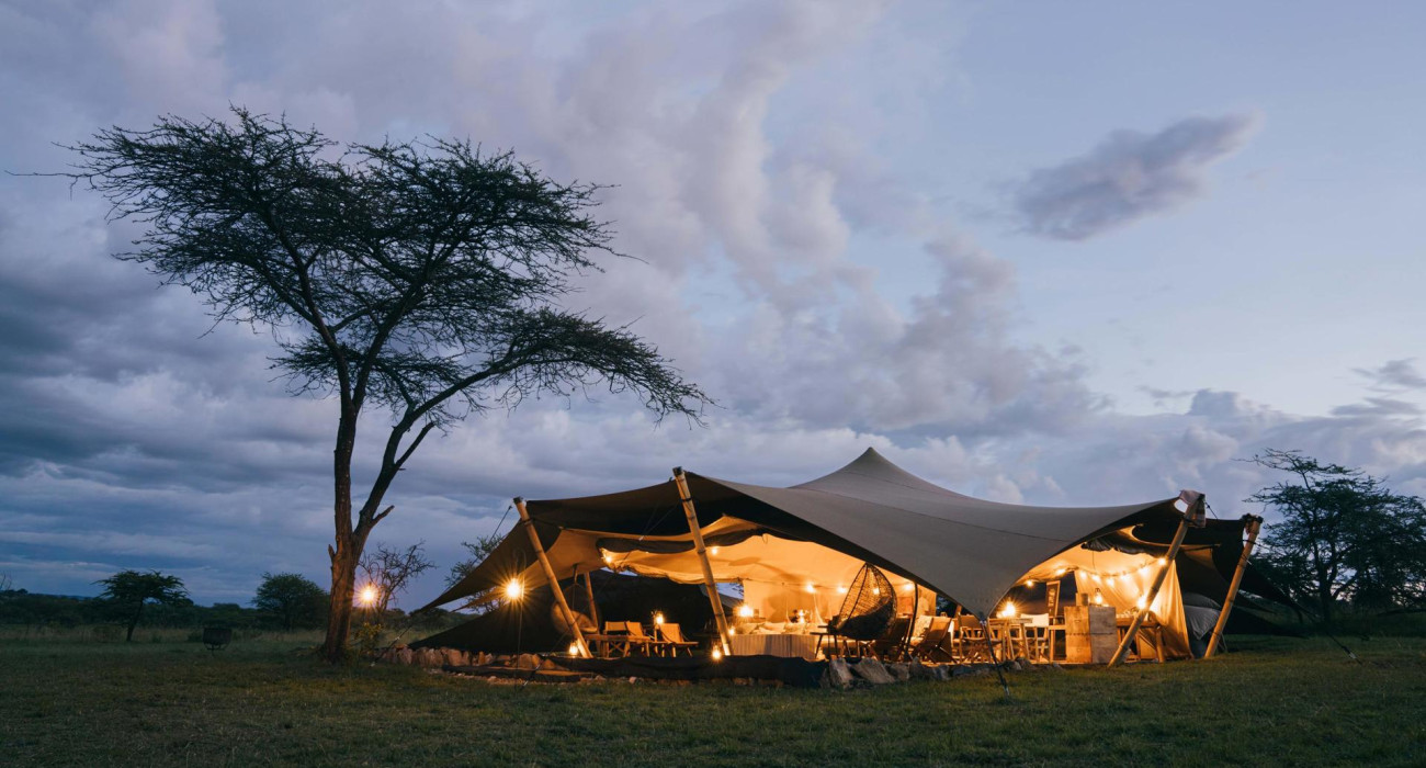 Wilderness Usawa Serengeti
