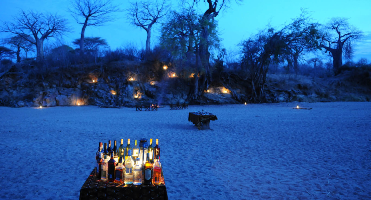 Mwagusi Safari Camp