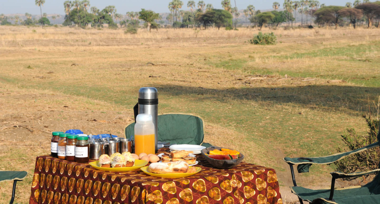 Mwagusi Safari Camp