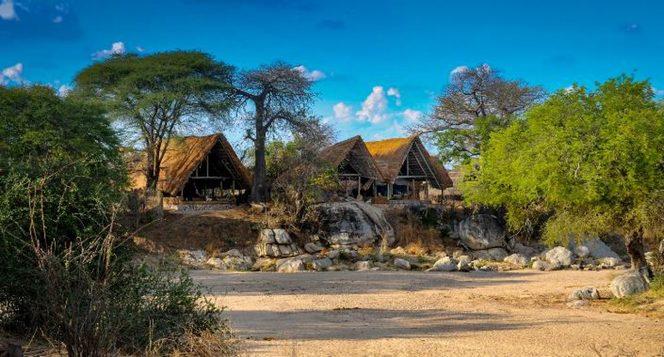 Mwagusi Safari Camp