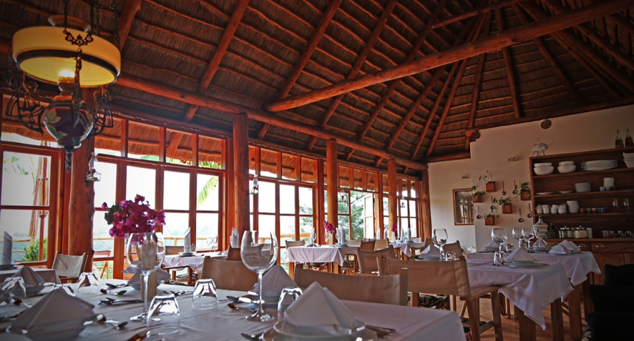 Papaya Lake Lodge