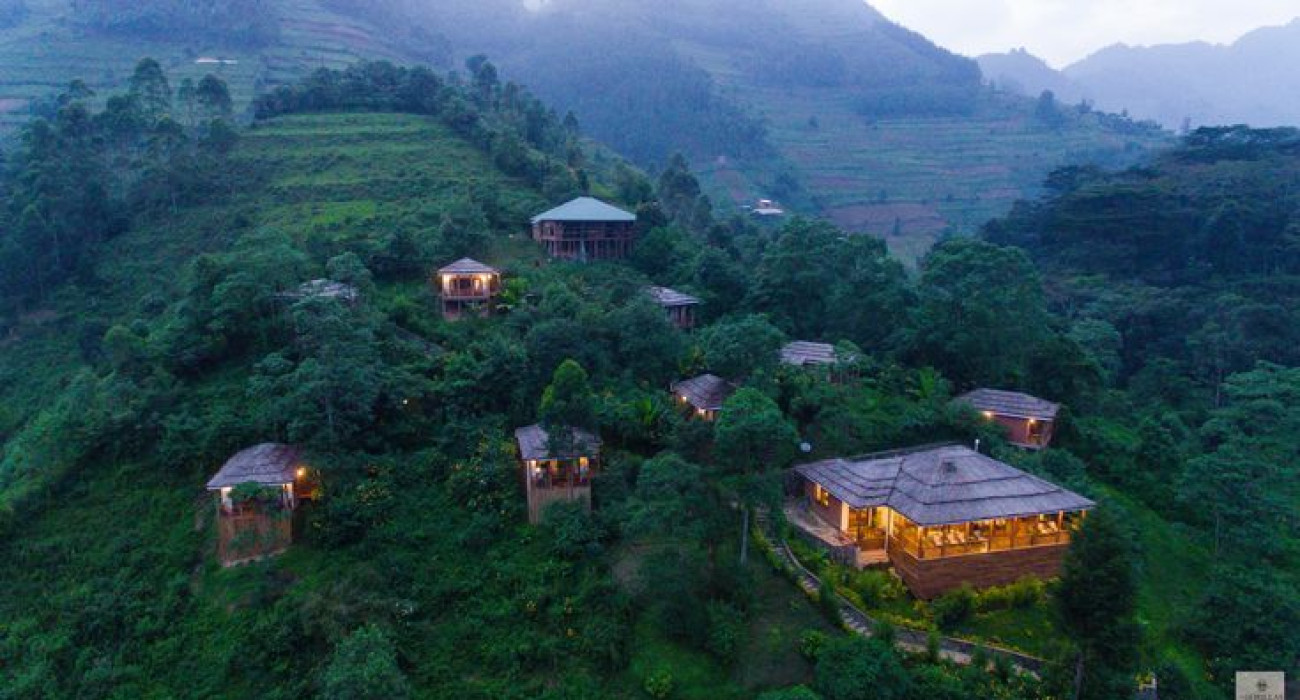 Four Gorillas Lodge