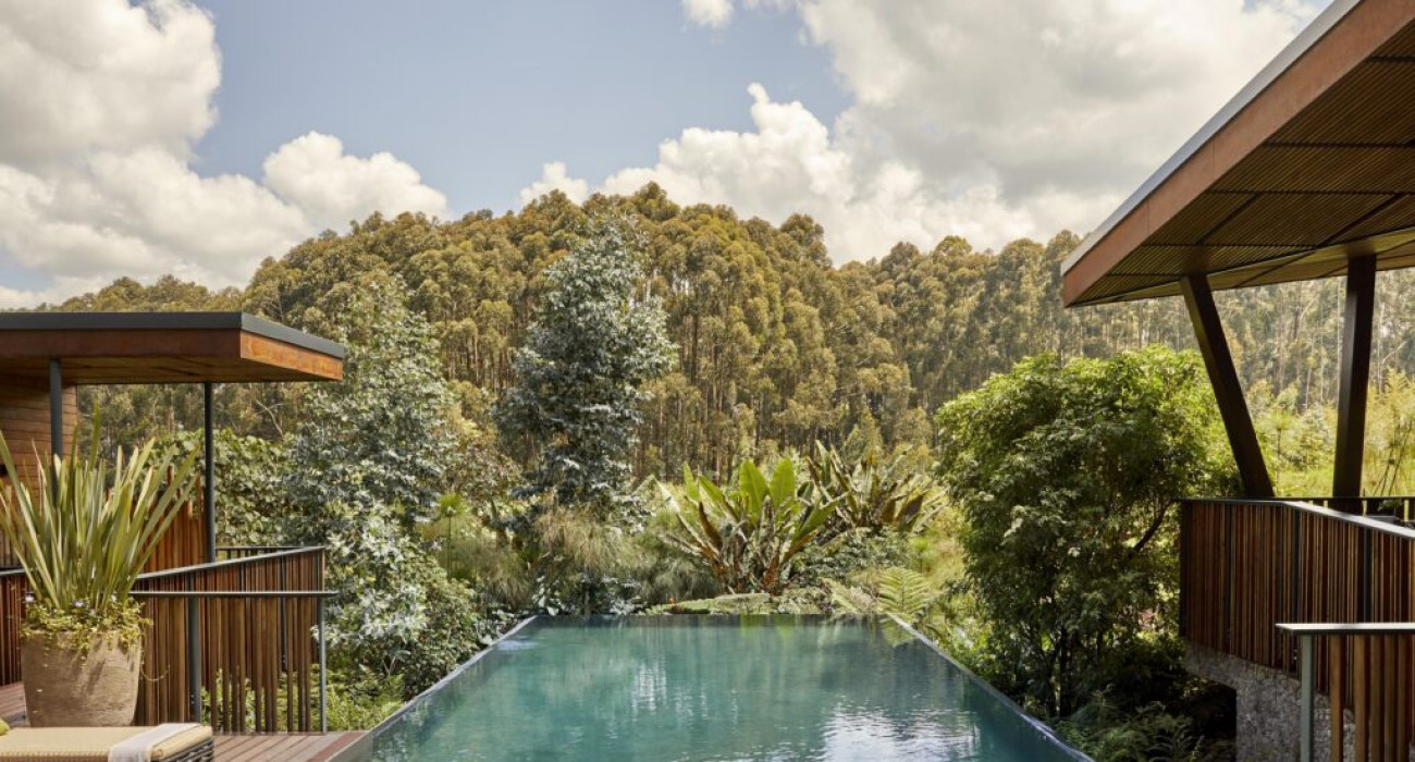 One & Only Gorilla’s Nest