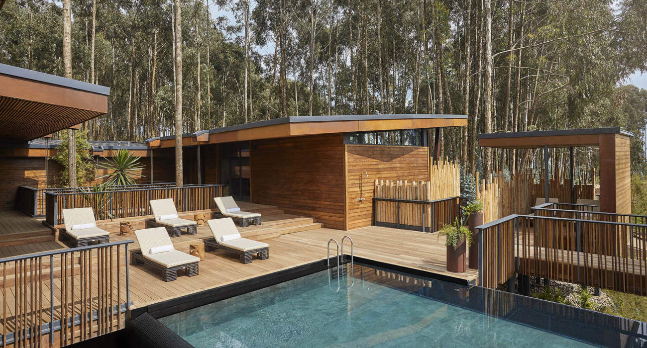 One & Only Gorilla’s Nest