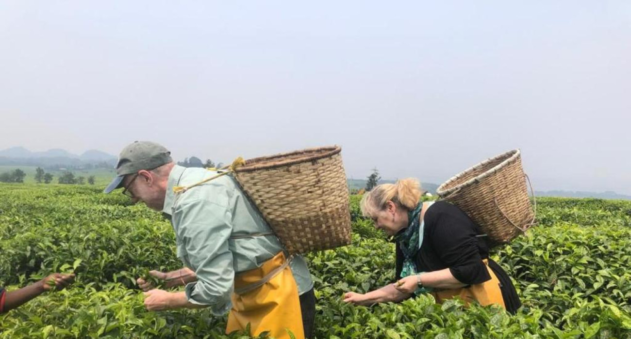 NYUNGWE ECOLODGE - Gisakura