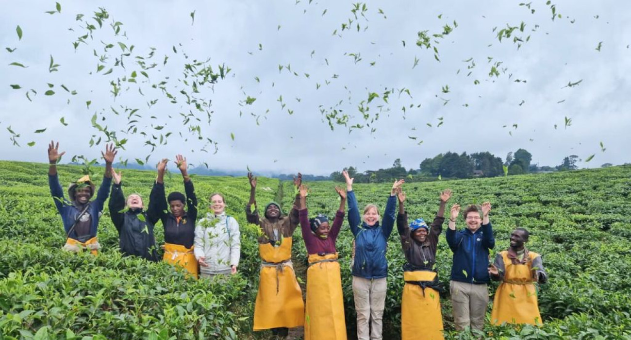 NYUNGWE ECOLODGE - Gisakura