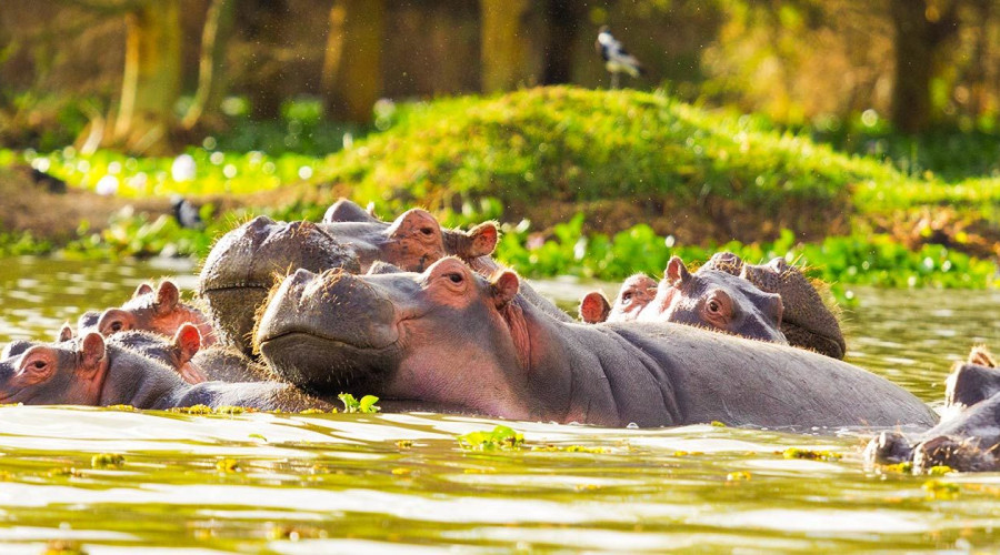 Why Choose Lake Naivasha with Eagle Soul Adventure