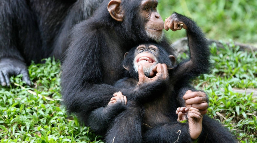 When to Visit Bwindi with Your Family