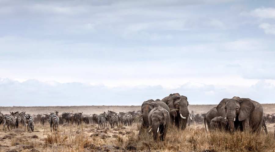 Top Family Destinations in East Africa