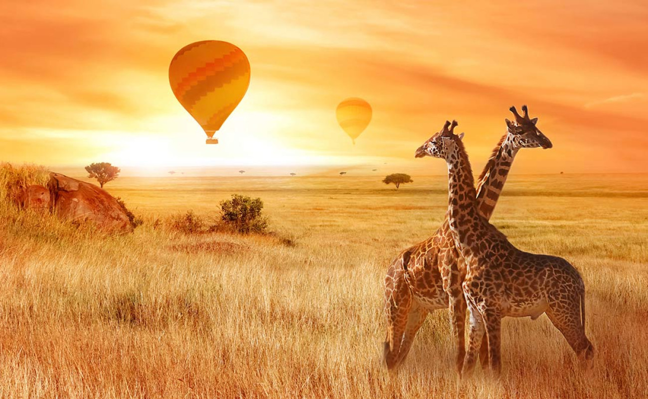 Why East Africa Is the Safari Capital of the World