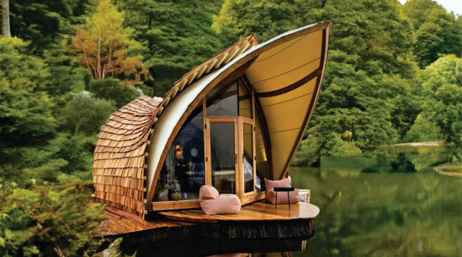 Luxury Safari Experiences