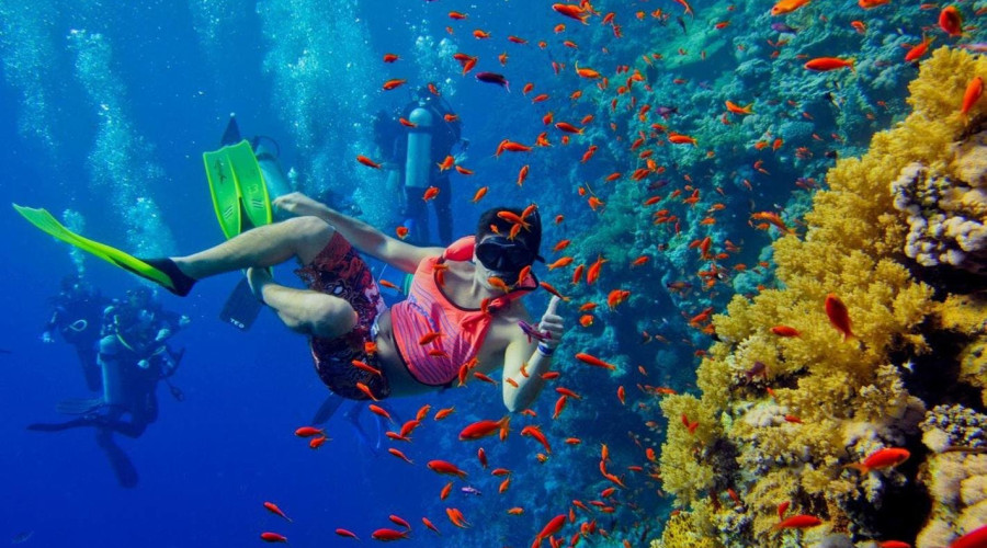 Snorkeling Safari at Mnemba Atoll