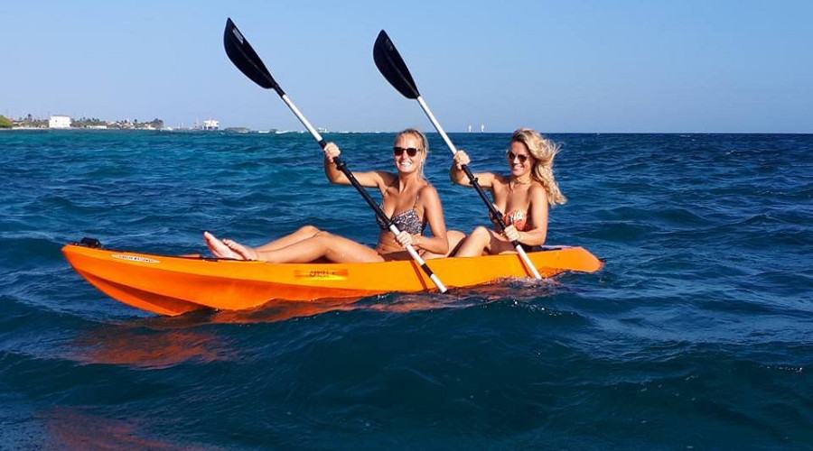 Kayak Through the Mangroves