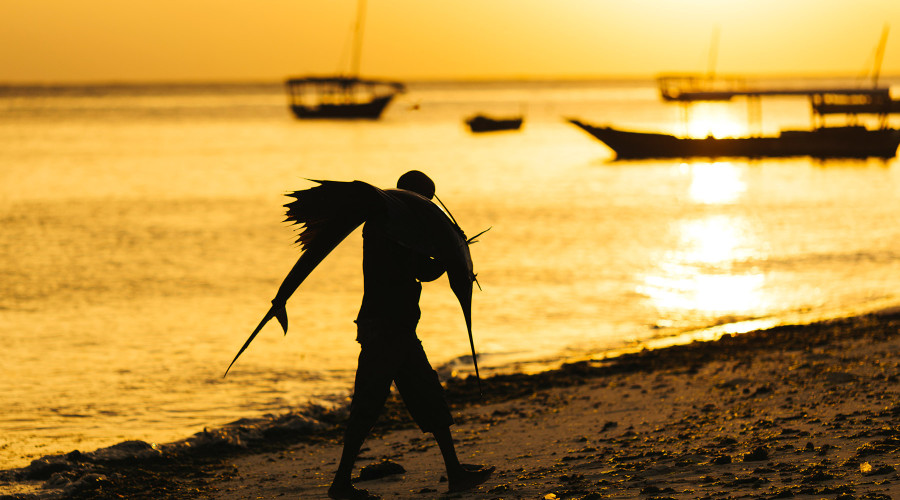 Go Deep Sea Fishing with Local Captains