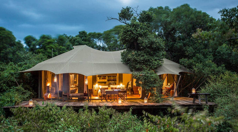 Why Choose Solo-Friendly Safari Lodges?