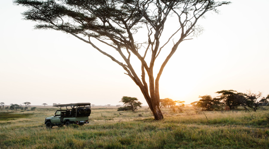 A Day in the Serengeti-Nature’s Theater