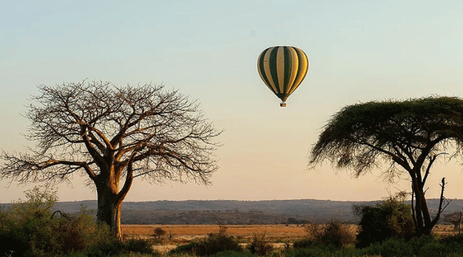 A Flight Above the Forgotten Wilderness