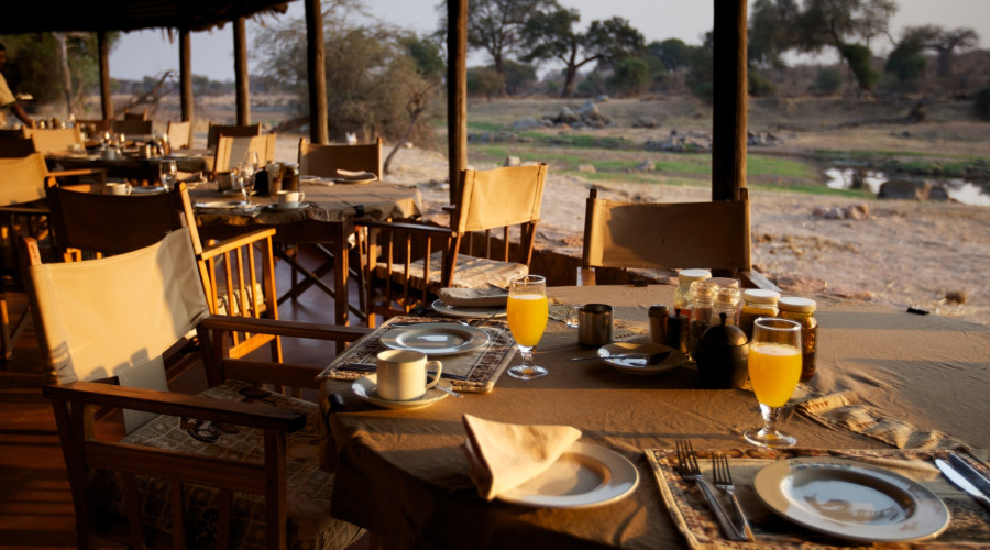 A Champagne Breakfast, Ruaha Style