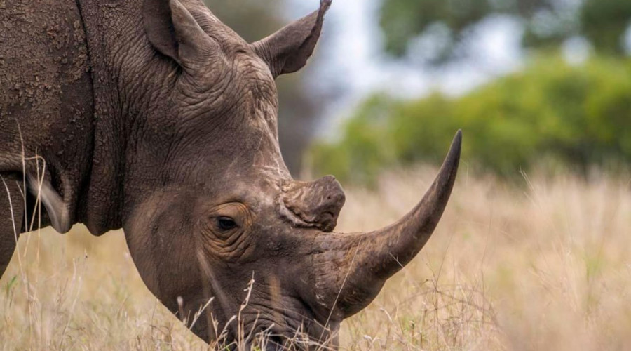 Ngorongoro Crater - Tanzania