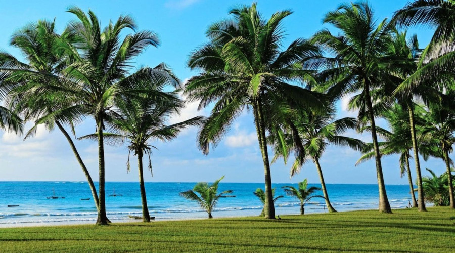 Diani Beach – Where Serenity Meets Adventure