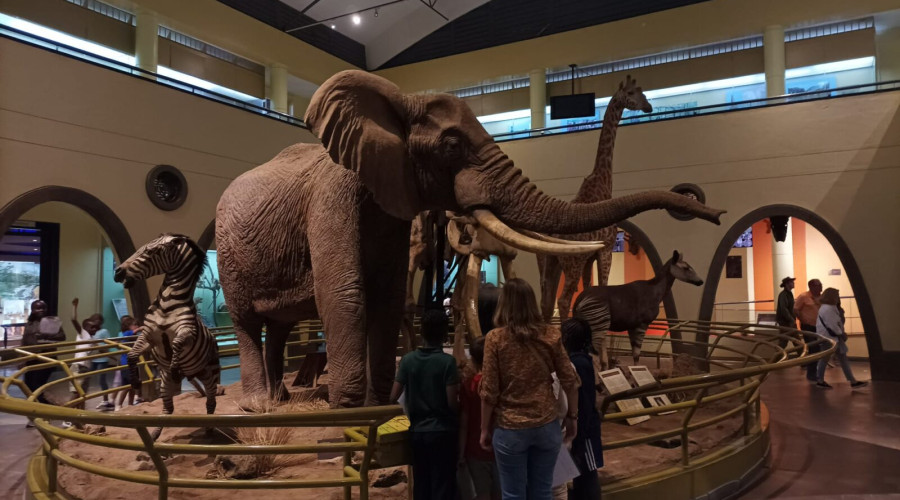 Visit the National Museum of Kenya