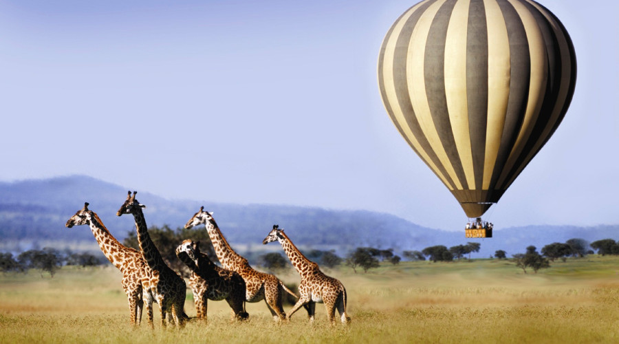 Amboseli National Park