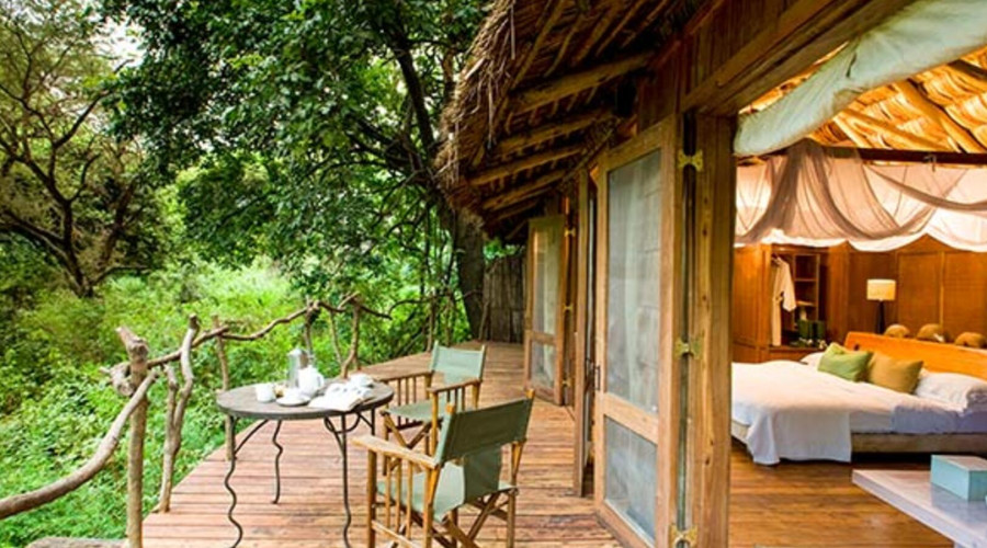 Lake Manyara Tree Lodge