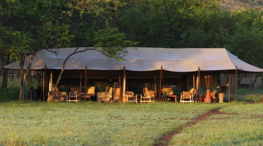 Dunia Camp