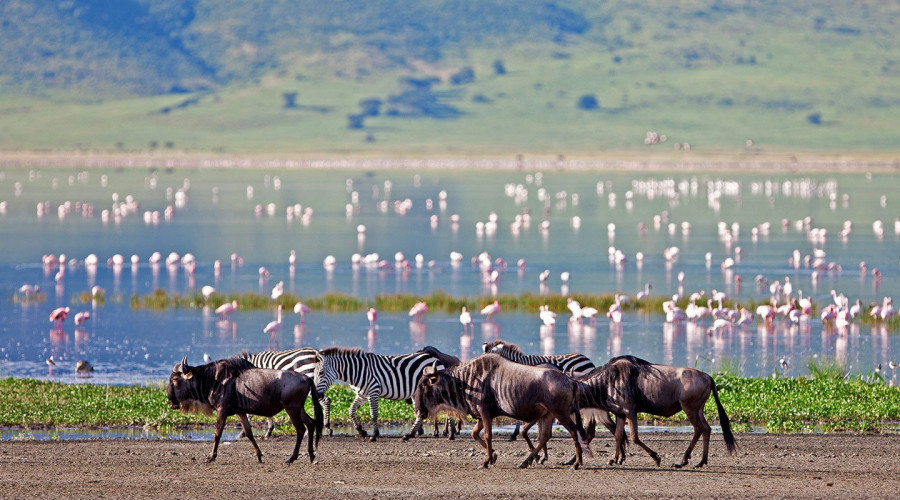 Lake Magadi – Ngorongoro’s Hidden Gem