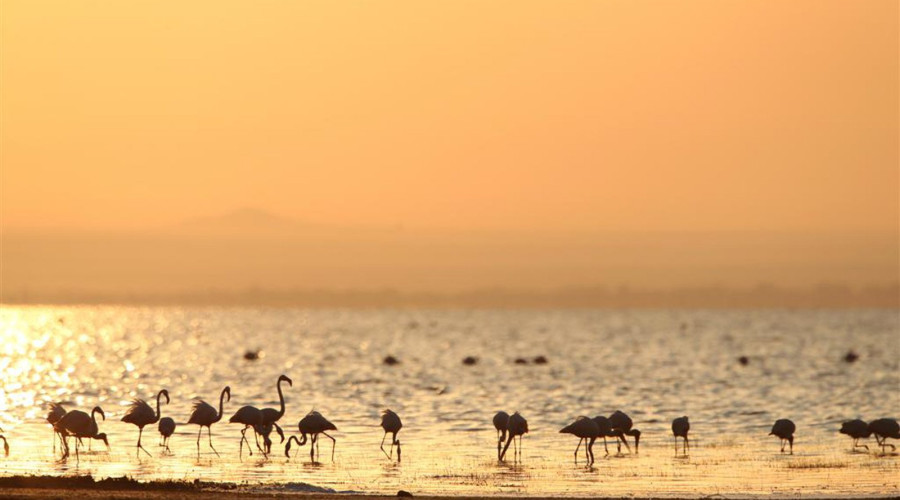 Lake Eyasi – Still Waters & Tribal Wisdom