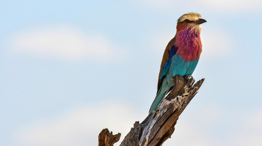 Serengeti National Park