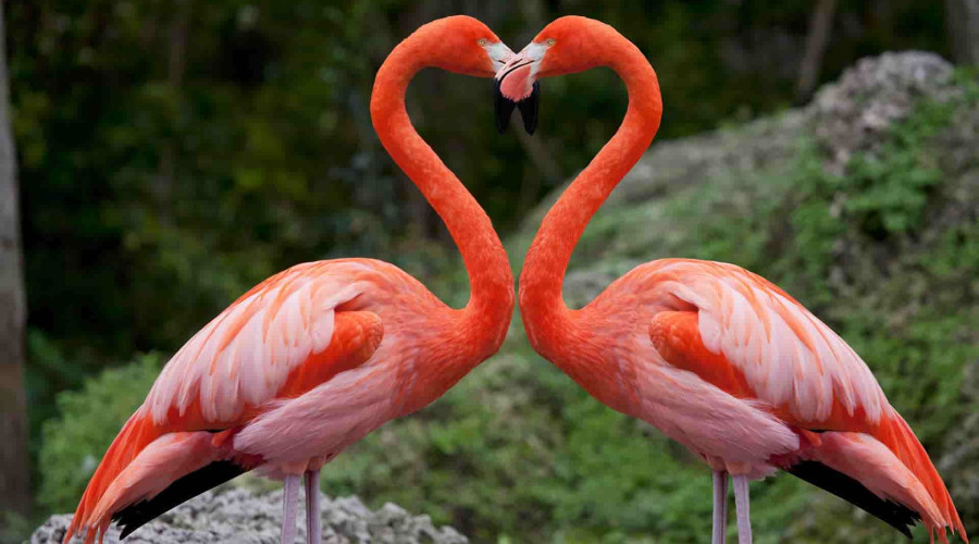 Lake Manyara National Park