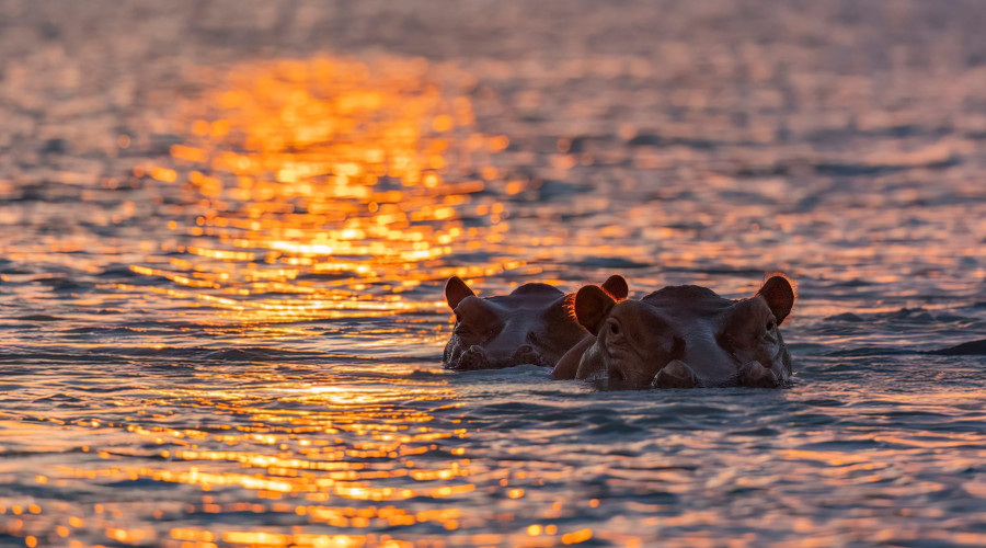 Filming on Water — A Rare African Advantage