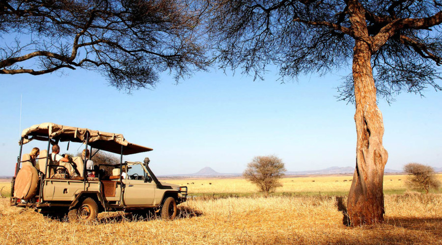 Easy Access from Arusha