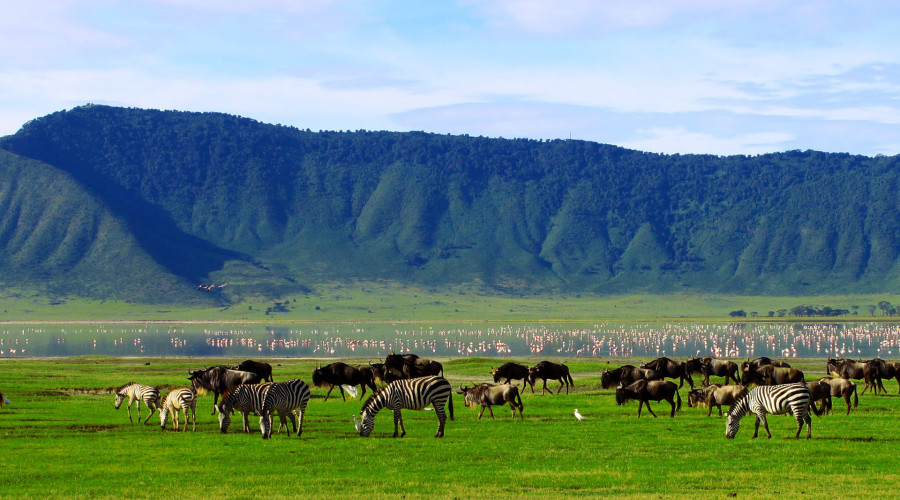 The Eden of Africa