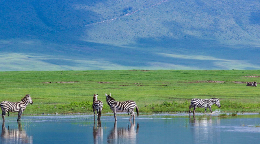 Spectacular Scenery and Photography
