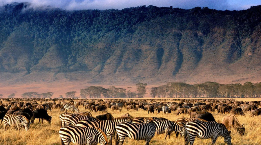 The Best Time to Visit Ngorongoro Crater