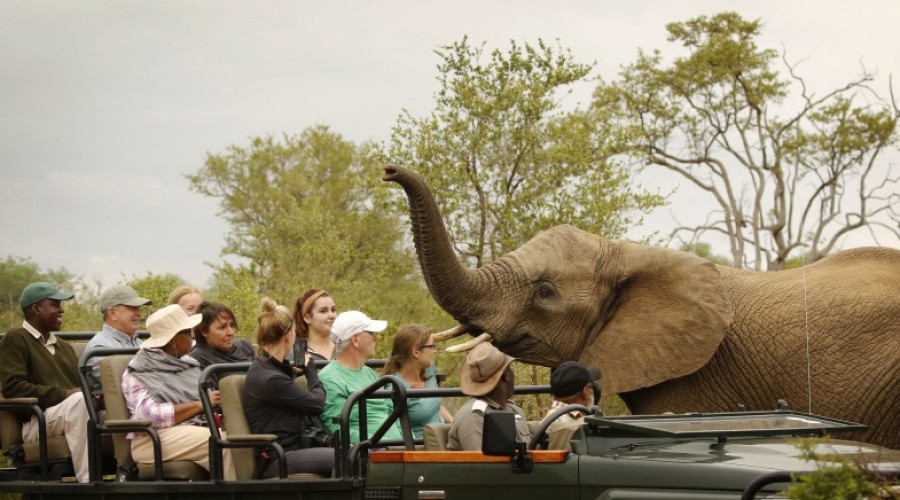 Kenya in August & September