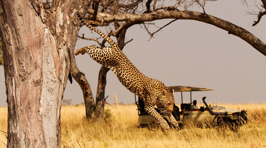 Tanzania in August & September