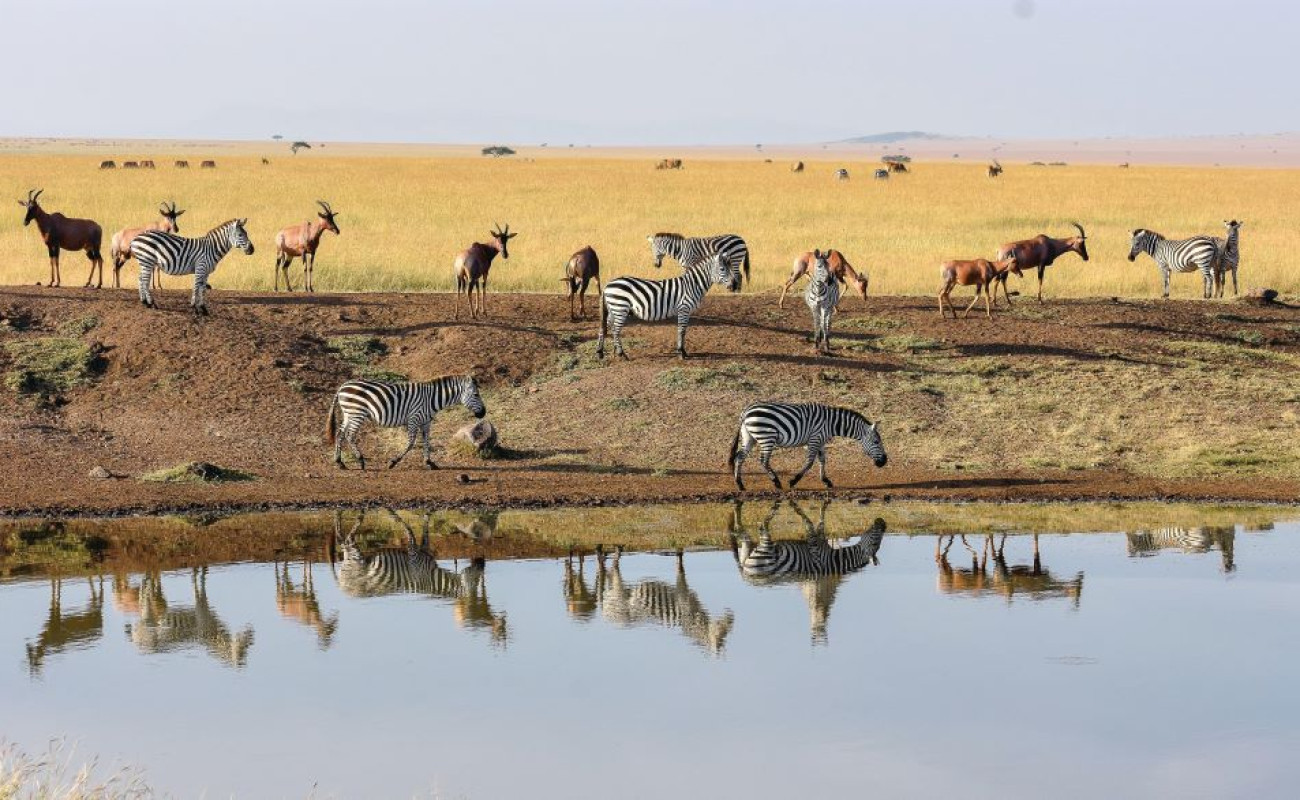 A Vibrant East Africa Safari Experience Awaits in February