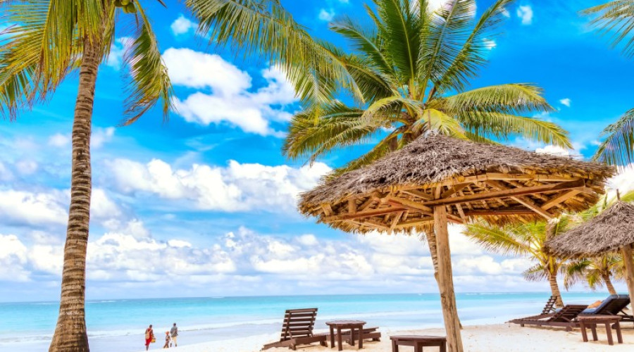 Safari & Beach – The Perfect Combo