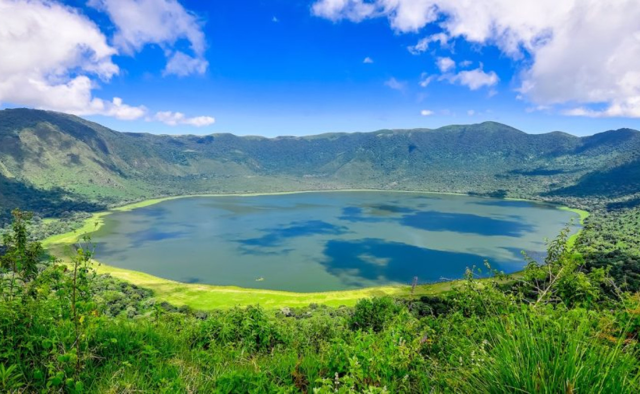 The Best Safari Packages for Small Groups in Tanzania