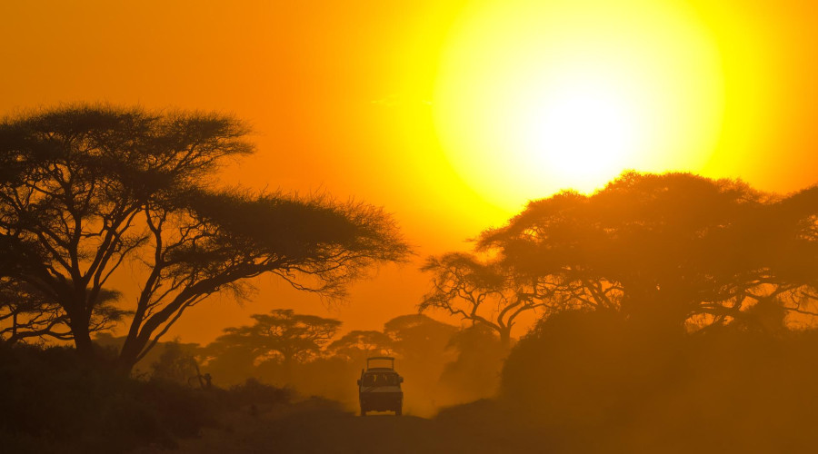 Why Small Groups Are the Best Way to Safari