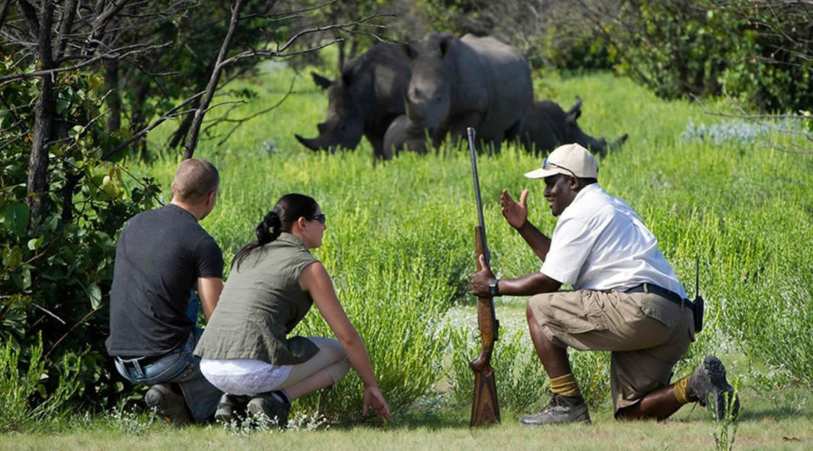 Sanctuary in the Savannah